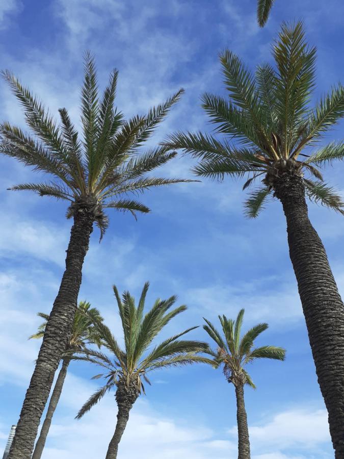 Carolinas Aptmt Orihuela Villacosta Εξωτερικό φωτογραφία